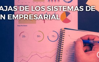 sistemas de gestión empresarial